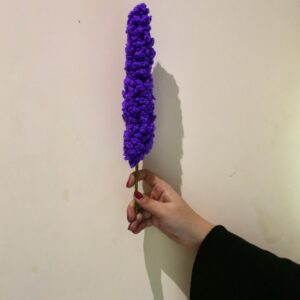 Daffodil (Single Stalk)