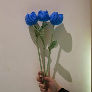 Tulips (Single Stalk)
